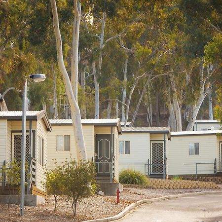 Alivio Tourist Park Canberra Exteriér fotografie